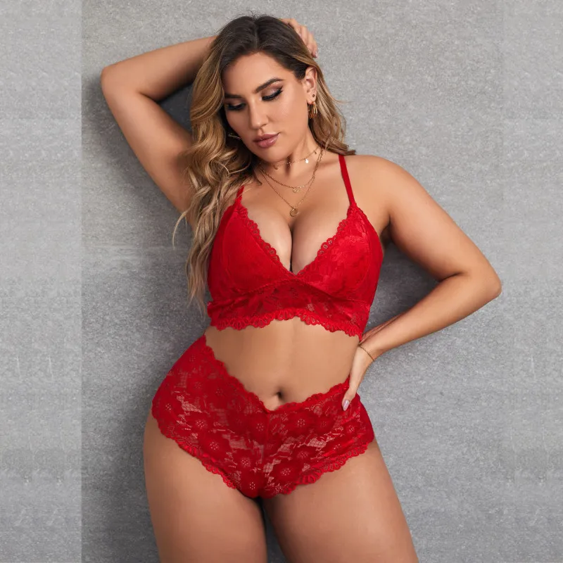 Women Plus Size Lace Sling Bra Panties Two-Piece Set