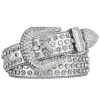 Silver Double Color Buckle