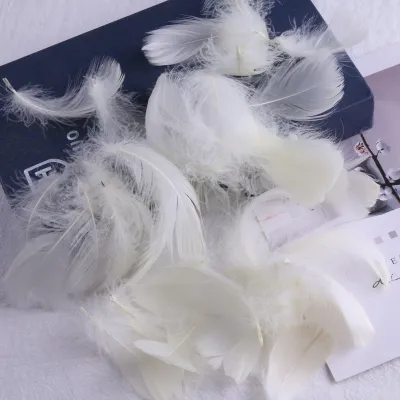 Simple Creative Wedding Party Y Multicolor Goose Feather Gift Box Filling Decoration Materials 100-Bag