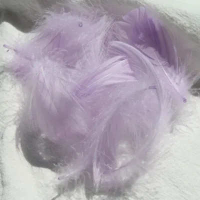 Simple Creative Wedding Party Y Multicolor Goose Feather Gift Box Filling Decoration Materials 100-Bag