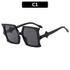 C1-Black Frame Gray