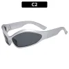 C2-Silver Frame Gray Sheet