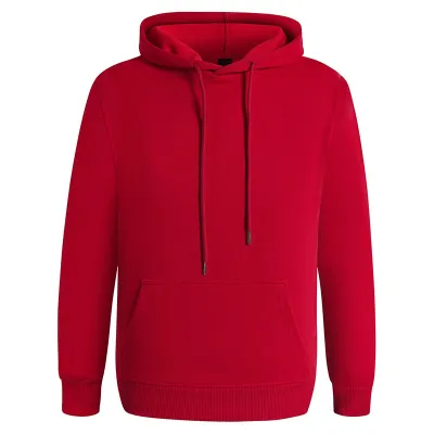 Custom Logo 300g Heavyweight Casual Solid Color Pullover Hoodie for Men and Women
