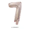 16 "Digital-Rose Gold 7