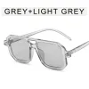 Transparent Gray Frame Lt.Grey Sheet