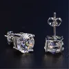 6M Drill Earrings [Platinum Plated]]