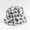 Cow Pattern Color