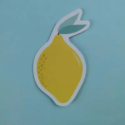Simple Creative Cute Fruit Shape Reusable Post-It Notes Sticky Pads 30 Pages