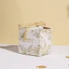 Champagne (Velvet Belt Box)