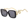 C1 Bright Black Frame Gray