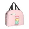 Handbag -2