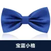 Sapphire Blue Pair Bow Tie