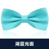 Aqua Smooth Bow Tie