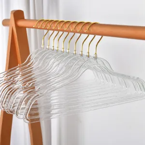 Simple Household Plastic Transparent Acrylic Gold Powder Storage Hangers - 10 Pack