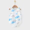 PP Sleeveless Bag Fart Clothes-Small Flying Pig