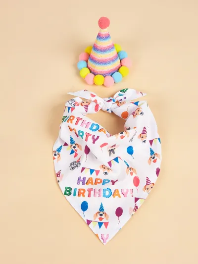 Simple Cartoon Dog Slipper Triangle Party Hat Set for Home Pets
