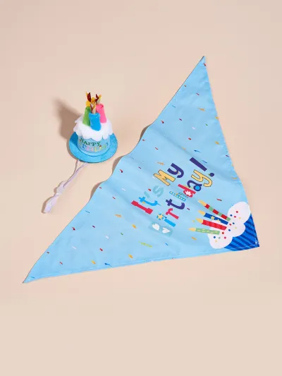 Simple Cartoon Dog Slipper Triangle Party Hat Set for Home Pets