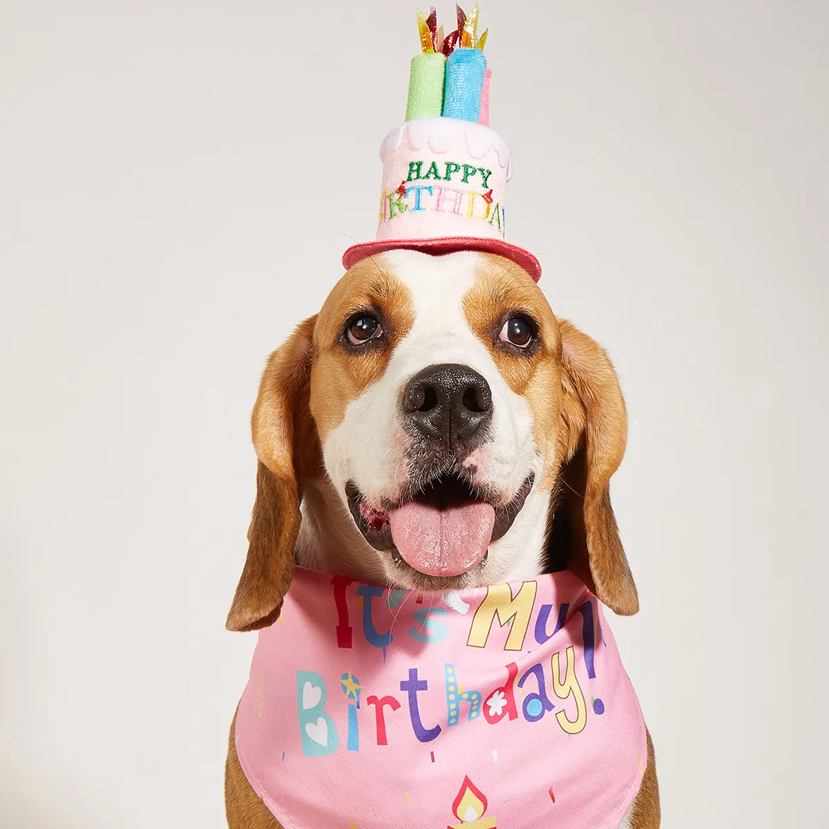 Simple Cartoon Dog Slipper Triangle Party Hat Set for Home Pets