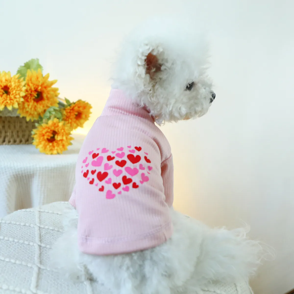 Simple Cartoon Valentine Day Heart Print Pet Cat Dog Clothes