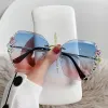 Ling Xiao [Layup Powder]]