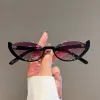 Black Frame Gradually Purple