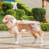 Pure Transparent Raincoat Orange Edging