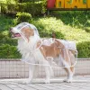 Pure Transparent Raincoat White Edging