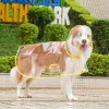 Pure Transparent Raincoat Yellow Edging