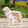 Pure Transparent Raincoat Rose-Red Edging