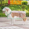 Pure Transparent Raincoat Green Edging