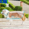 Pure Transparent Raincoat Blue Edging