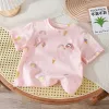 Pink Ice Cream