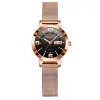 602 Rose Gold Black Steel Strip