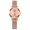 602 Rose Gold Coffee Steel Strip