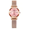 602 Rose Gold Pink Steel Strip