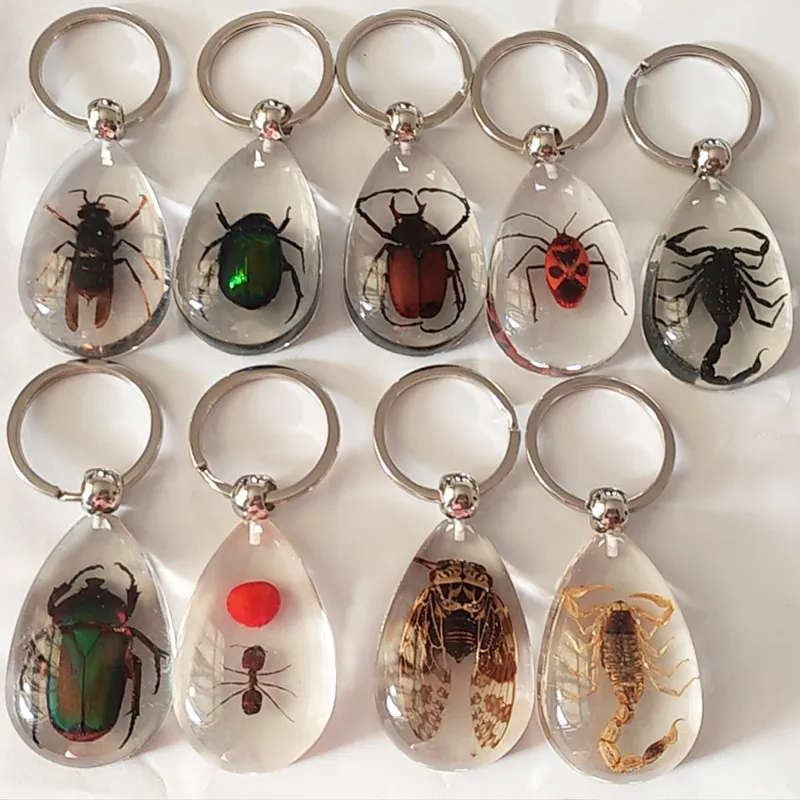 Women Simple Transparent Glue Insect Amber Key Chain Pendant