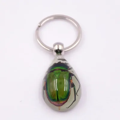 Women Simple Transparent Glue Insect Amber Key Chain Pendant