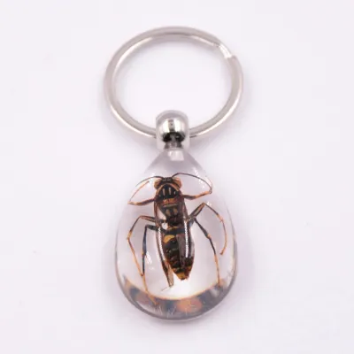 Women Simple Transparent Glue Insect Amber Key Chain Pendant