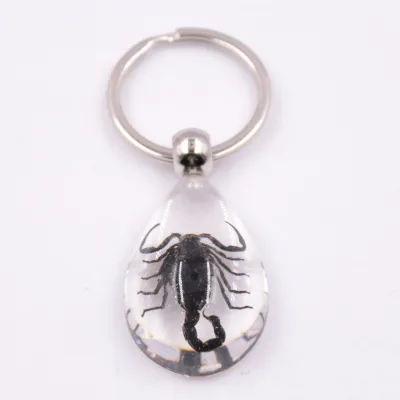 Women Simple Transparent Glue Insect Amber Key Chain Pendant