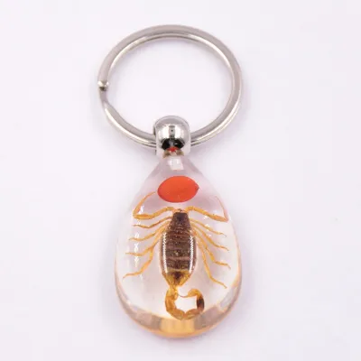 Women Simple Transparent Glue Insect Amber Key Chain Pendant