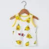 Alms Bowl-Boneless-Mesh-Vest