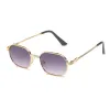 C05 Gold Frame Double Gray Sheet