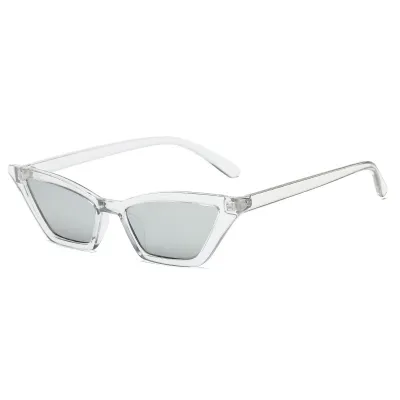 Small Frame Cat Eye Sunglasses