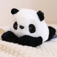 Panda (Regular)