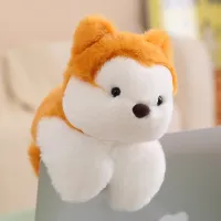 Shiba Dog