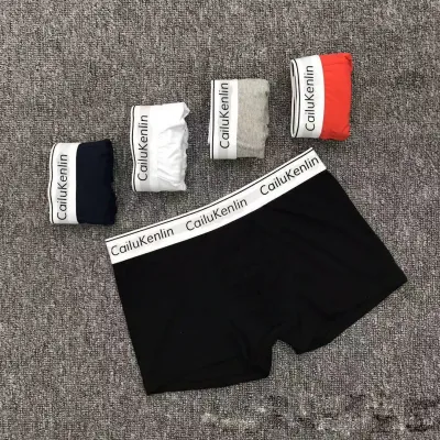 Wholesale Men Summer Casual Simple Letter Print Ice Silk Low-Waist Briefs Underwear