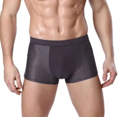 Men Basic Solid Color Ice Silk Plus Size Mesh Mid Waist Boxer Pants