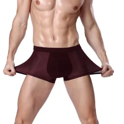 Men Basic Solid Color Ice Silk Plus Size Mesh Mid Waist Boxer Pants