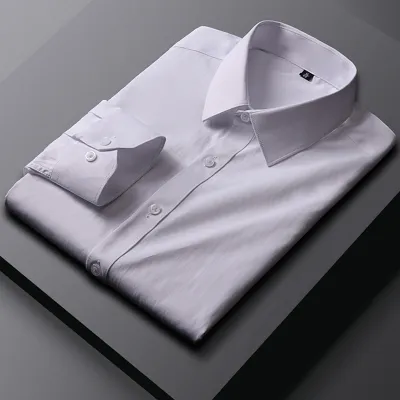 Spring Autumn Long Sleeve Business Solid Color Men Dress Shirt Custom