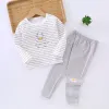 White Stripe [Boneless Antibacterial] Lycra